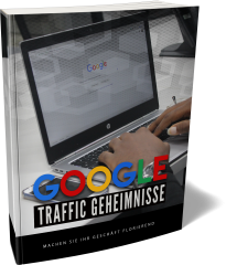 Google Traffic Geheimnisse